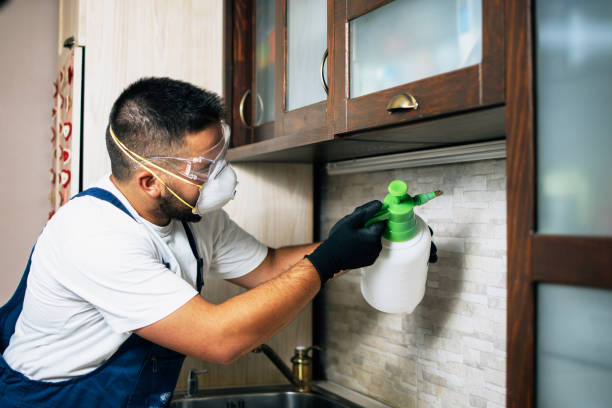 Best Best Pest Control Companies  in Park River, ND