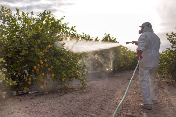 Best Residential Pest Control  in Park River, ND