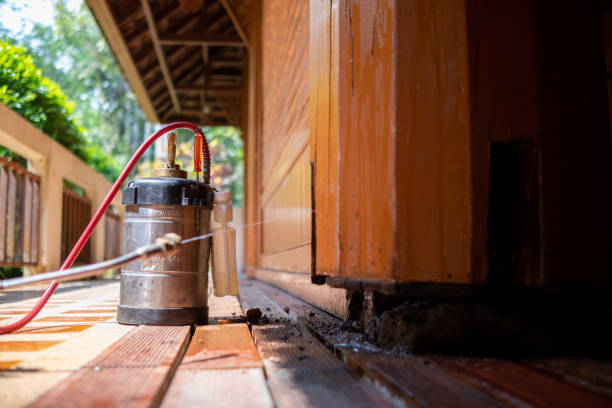 Best Pest Removal Services  in Park River, ND