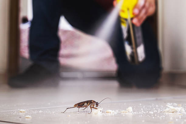 Best Emergency Pest Control  in Park River, ND