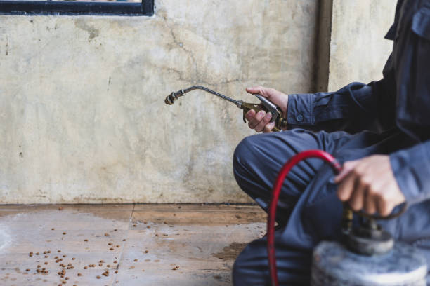 Best Best Pest Control Companies  in Park River, ND