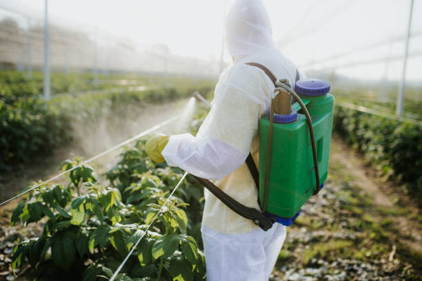 Best Ant Control Services  in Park River, ND